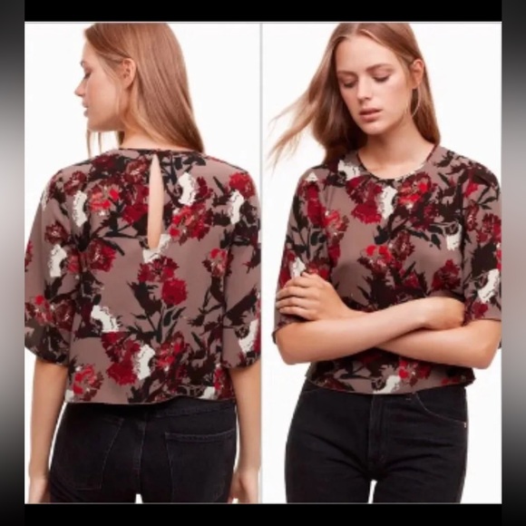 Aritzia Wilfred Cambrai Blouse - Picture 9 of 9